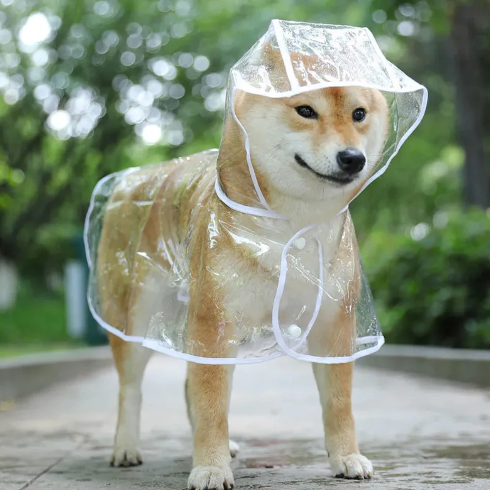 Dog Raincoat - 개 비옷 강아지 투명한 비옷 애완