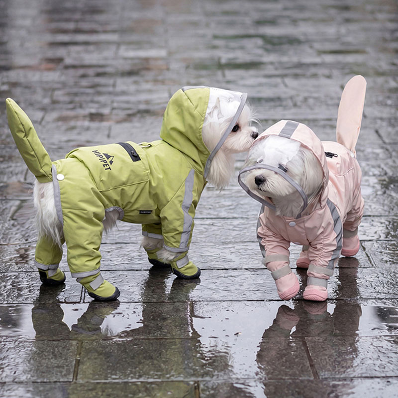 Dog Raincoat - 방수 개 비옷 투명 후드가 있는