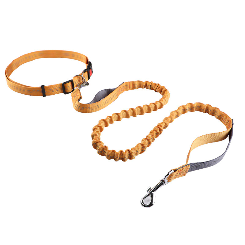 Retractable Dog Leash - 반려동물 목줄, 러닝 리드, 자동 줄줄이