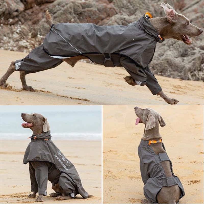Dog Raincoat - 중형 대형 개를위한 방수 개 비옷