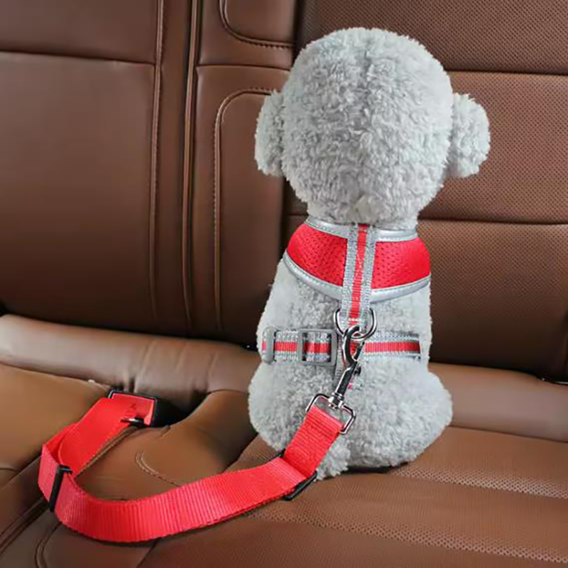 강아지 안전벨트 특가 판매 애완동물 카시트 안전벨트 자 - Retractable Dog Leash 리뷰 및 가격