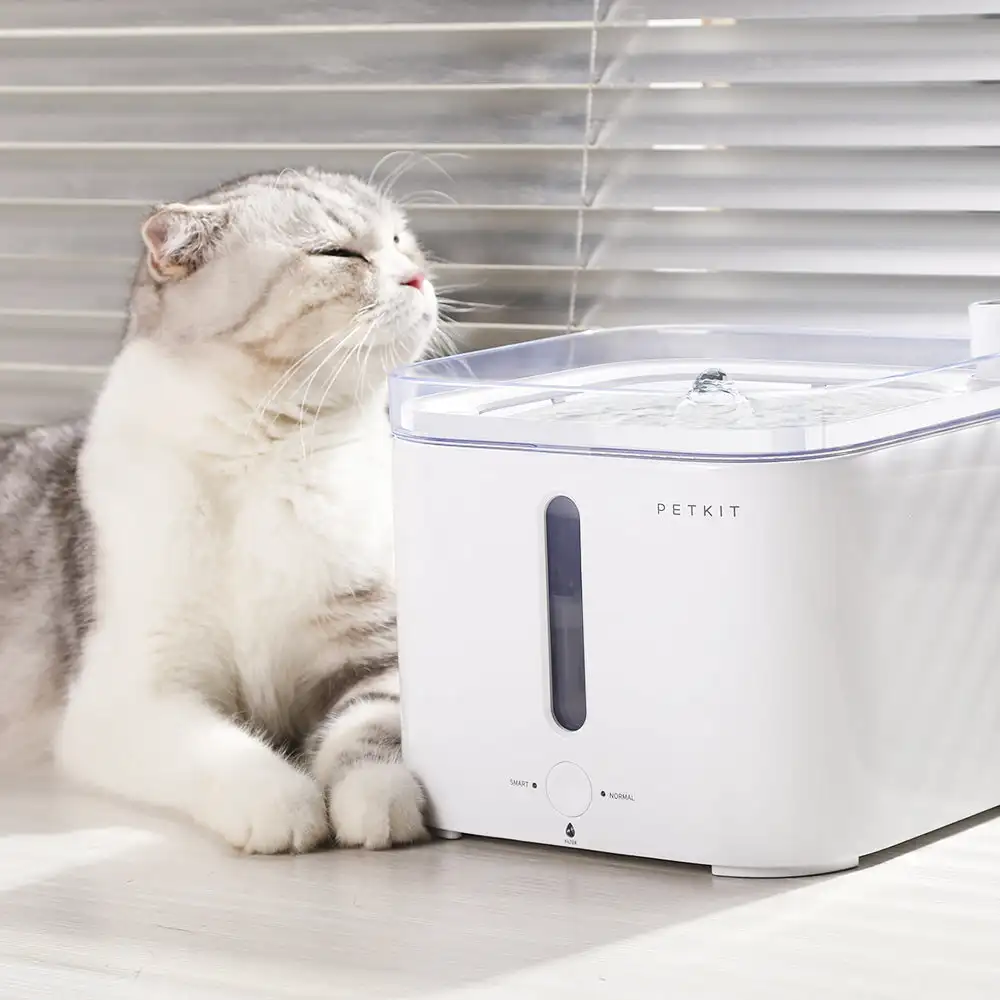 캔바운 에버스윗 시리즈 애완동물 스마트 정수기 (무선  - Pet Water Fountain 리뷰 및 가격