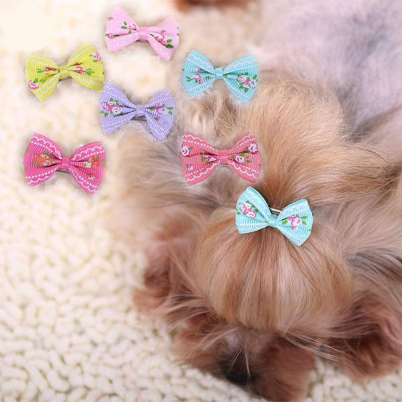 개를 위한 새로운 머리핀, 고양이 강아지 귀여운 코튼  - Pet Supplies York 리뷰 및 가격