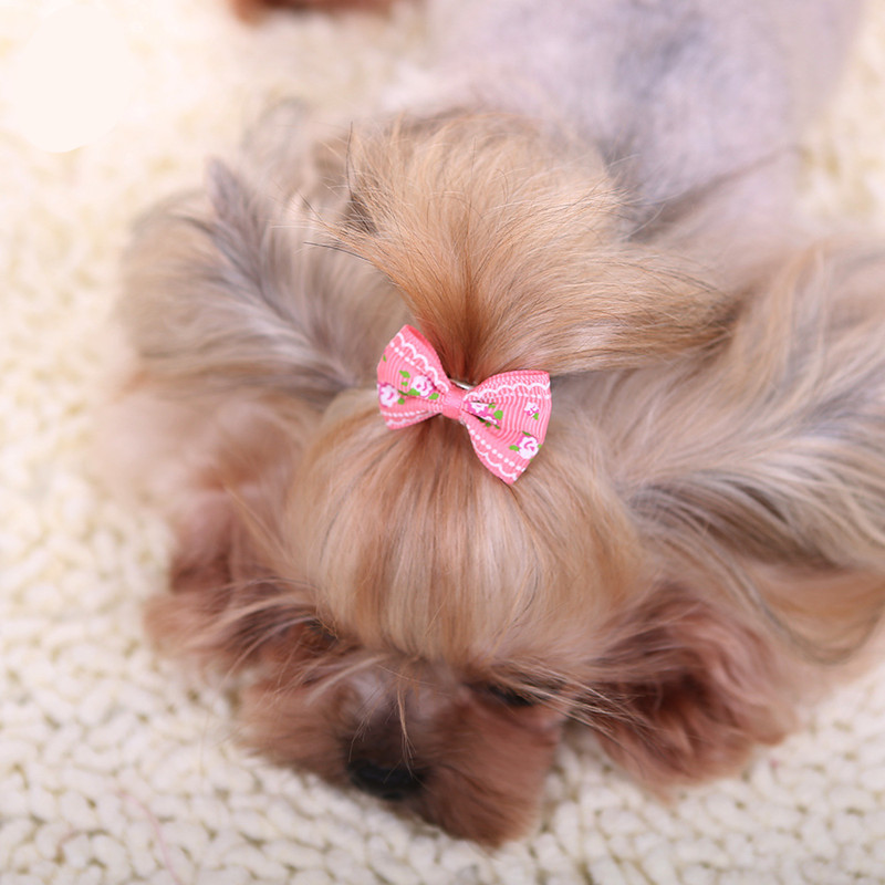 개를 위한 새로운 머리핀, 고양이 강아지 귀여운 코튼  - Pet Supplies York 리뷰 및 가격