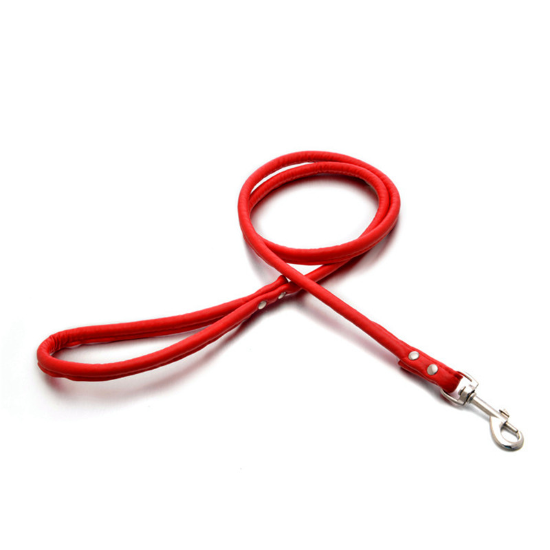 애완 동물 고양이 강아지 개 가죽 끈 긴 부드러운 PU - Retractable Dog Leash 리뷰 및 가격