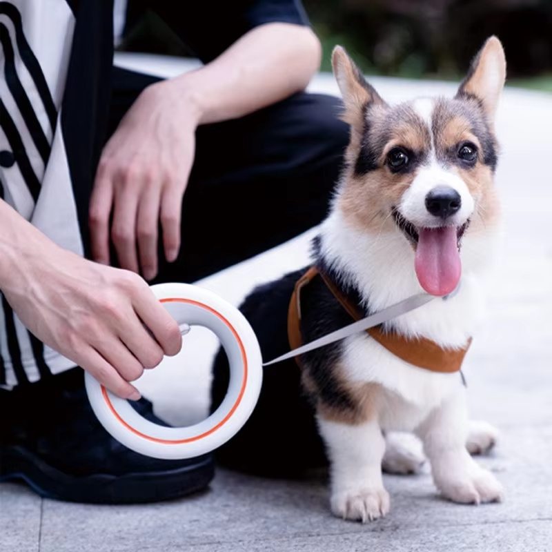 Moestar UFO 개폐식 가죽 끈 2개의 가벼운 금 - Retractable Dog Leash 리뷰 및 가격