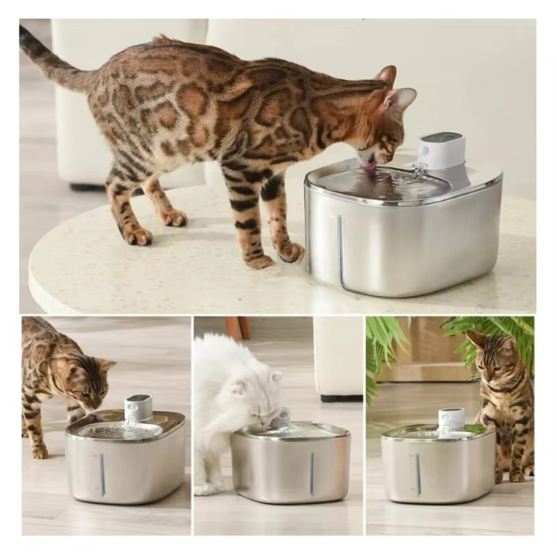 스테인리스 스틸 반려동물 물그릇 전기 자동 센서 고양이 - Pet Water Fountain 리뷰 및 가격