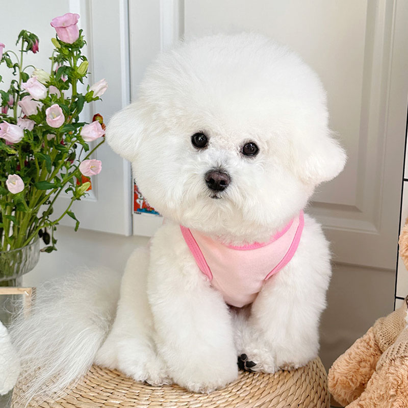 만화 개 옷 소형견용 민소매 풀오버 후드티 푸들 요크  - Pet Supplies York 리뷰 및 가격