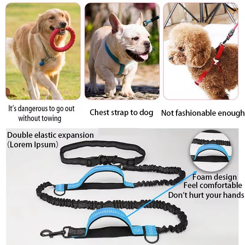이중 탄성 반사 러닝 리쉬 휴대용 접이식 개 리쉬 개줄 - Retractable Dog Leash 리뷰 및 가격