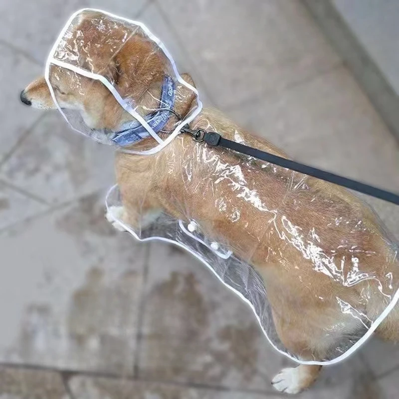 개 비옷 강아지 투명한 비옷 애완 동물 후드 방수 자켓 - Dog Raincoat 리뷰 및 가격