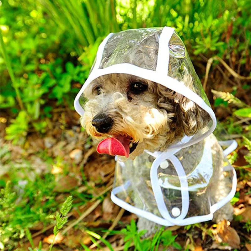 개 비옷 강아지 투명한 비옷 애완 동물 후드 방수 자켓 - Dog Raincoat 리뷰 및 가격