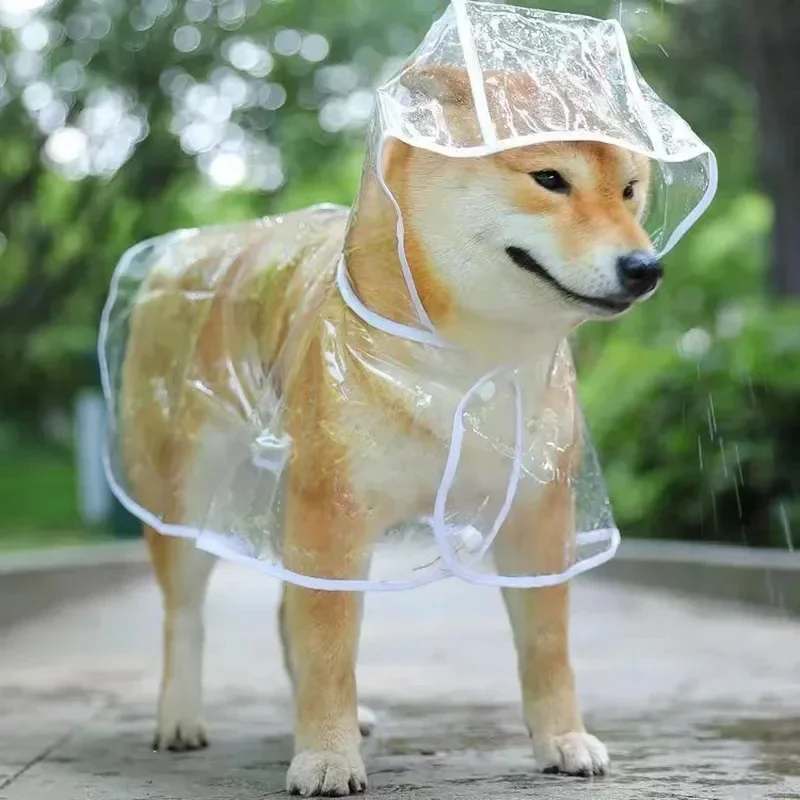 개 비옷 강아지 투명한 비옷 애완 동물 후드 방수 자켓 - Dog Raincoat 리뷰 및 가격