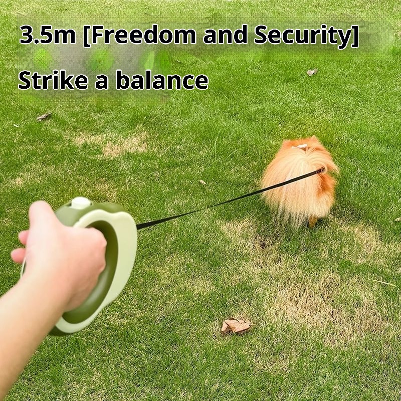   3.5미터 자동 줄길이 조절 가능한 개줄, 애완동물 - Retractable Dog Leash 리뷰 및 가격