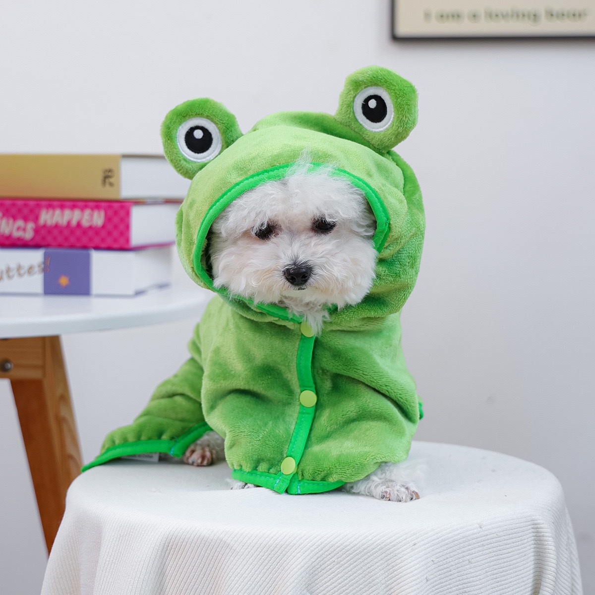 개구리 모양 원피스 강아지 망토 후드티 실내 통기성 타 - Pet Supplies York 리뷰 및 가격