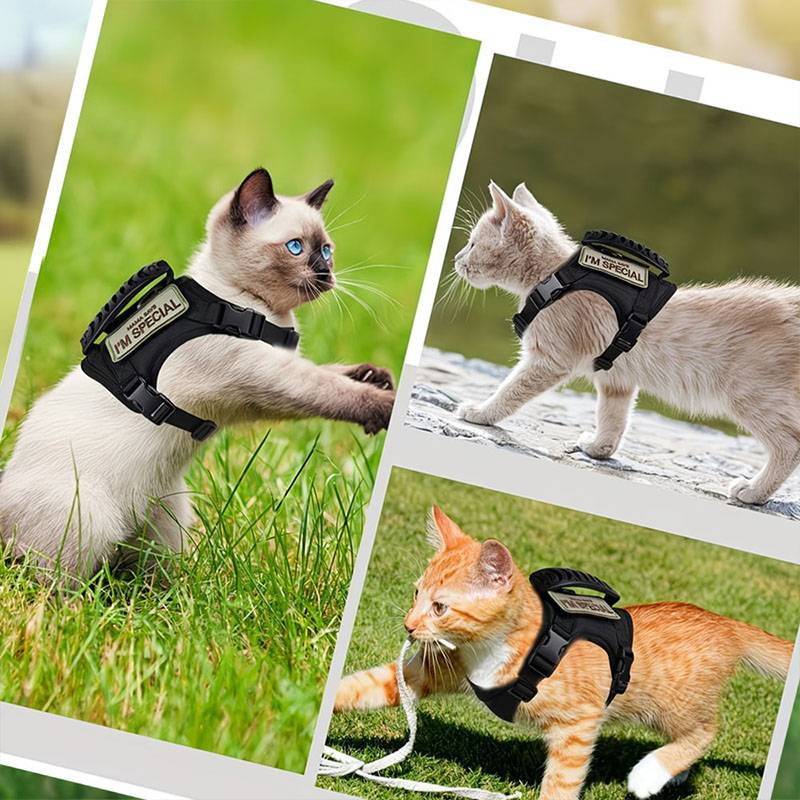 통기성 전술 애완동물 하네스 조끼, 개폐식 리드줄, 조 - Retractable Dog Leash 리뷰 및 가격
