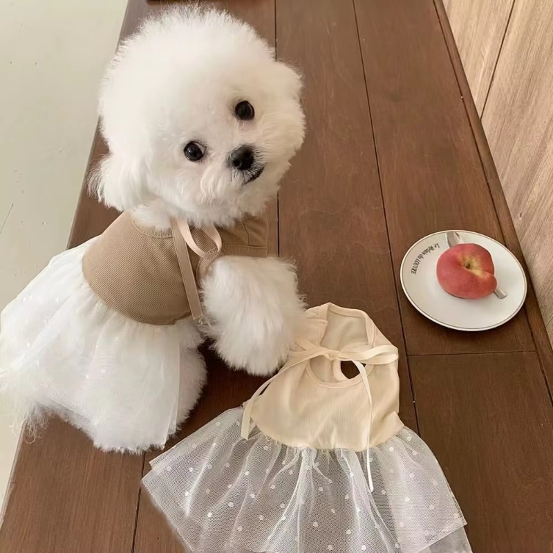 여름 개 옷 통기성 애완견 스커트 작은 개 고양이 치와 - Pet Supplies York 리뷰 및 가격