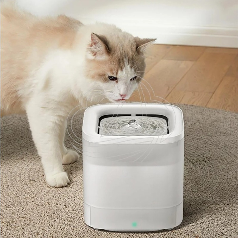 펫킷 에버스윗 솔로 SE 스마트 반려동물 정수기 LED - Pet Water Fountain 리뷰 및 가격