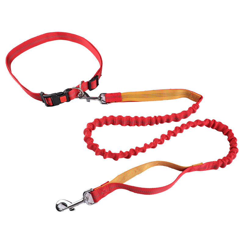 반려동물 목줄, 러닝 리드, 자동 줄줄이 개목줄, 강아 - Retractable Dog Leash 리뷰 및 가격