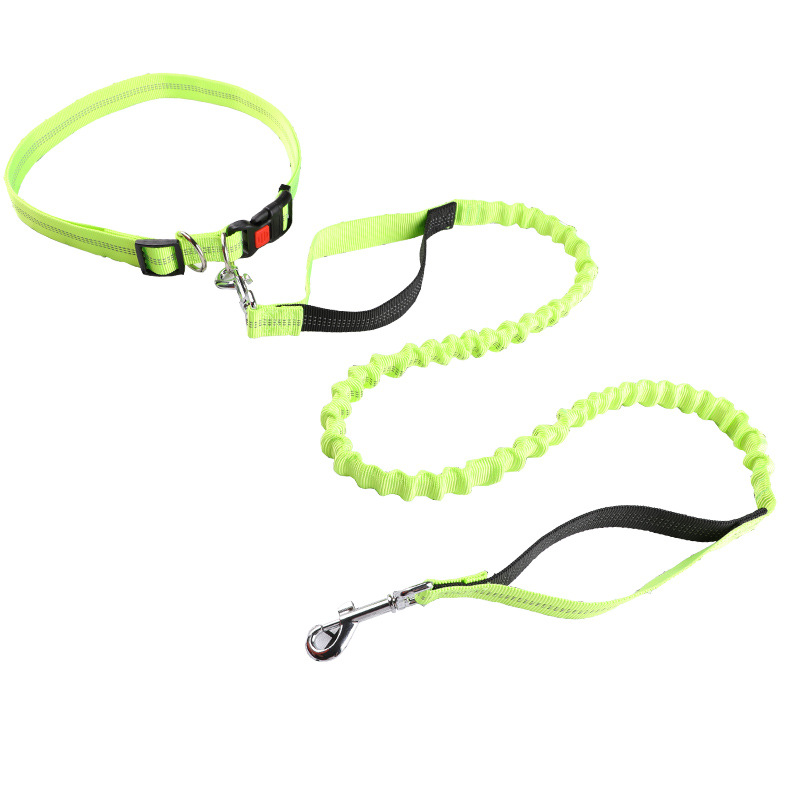반려동물 목줄, 러닝 리드, 자동 줄줄이 개목줄, 강아 - Retractable Dog Leash 리뷰 및 가격