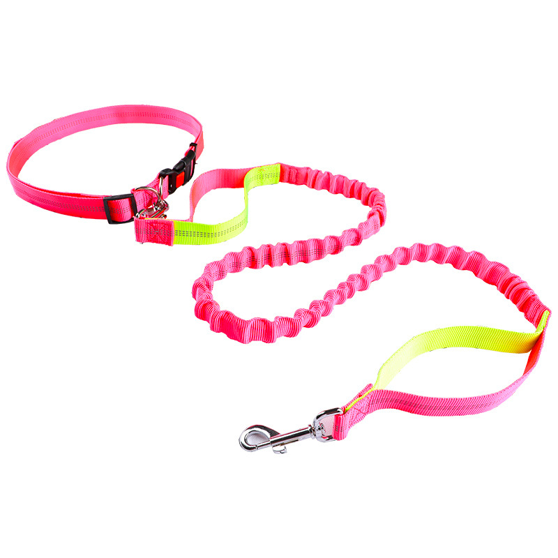 반려동물 목줄, 러닝 리드, 자동 줄줄이 개목줄, 강아 - Retractable Dog Leash 리뷰 및 가격