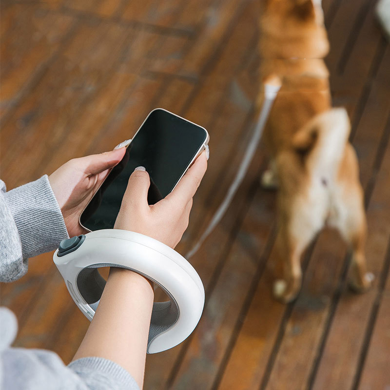 LED 애완동물 접이식 리드줄 웨어러블 터치 디밍 소형 - Retractable Dog Leash 리뷰 및 가격