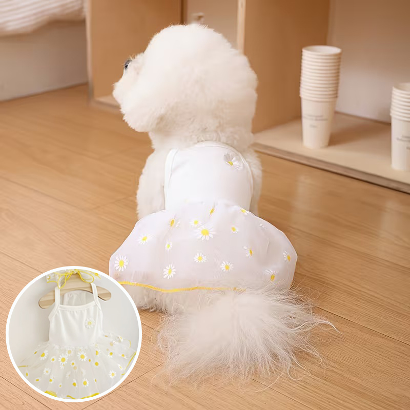 여름 얇은 강아지 공주 스커트 강아지 옷 귀여운 애완견 - Pet Supplies York 리뷰 및 가격