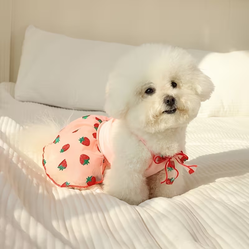 여름 얇은 강아지 공주 스커트 강아지 옷 귀여운 애완견 - Pet Supplies York 리뷰 및 가격