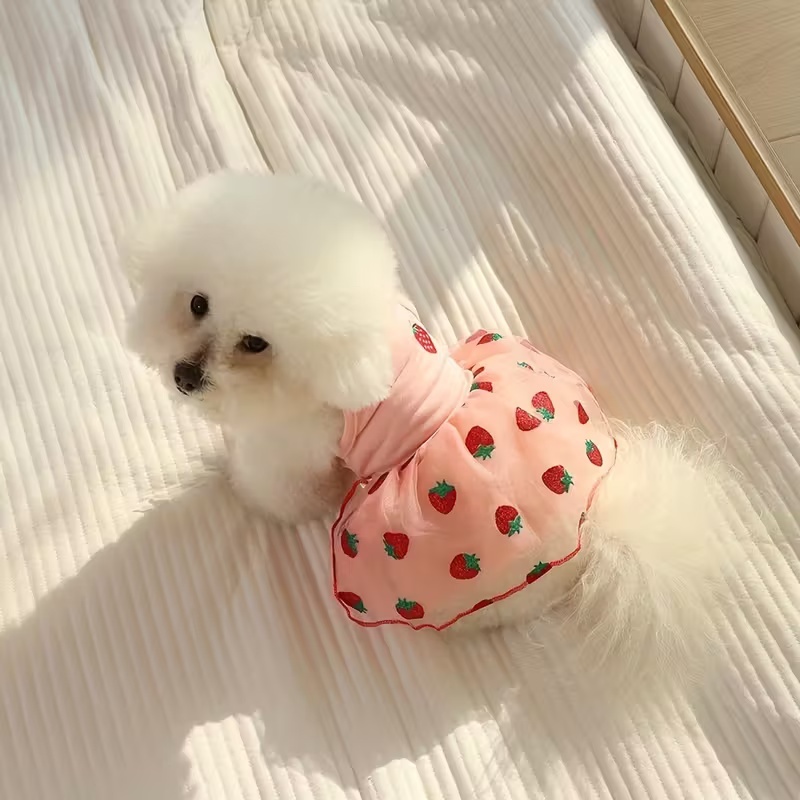여름 얇은 강아지 공주 스커트 강아지 옷 귀여운 애완견 - Pet Supplies York 리뷰 및 가격