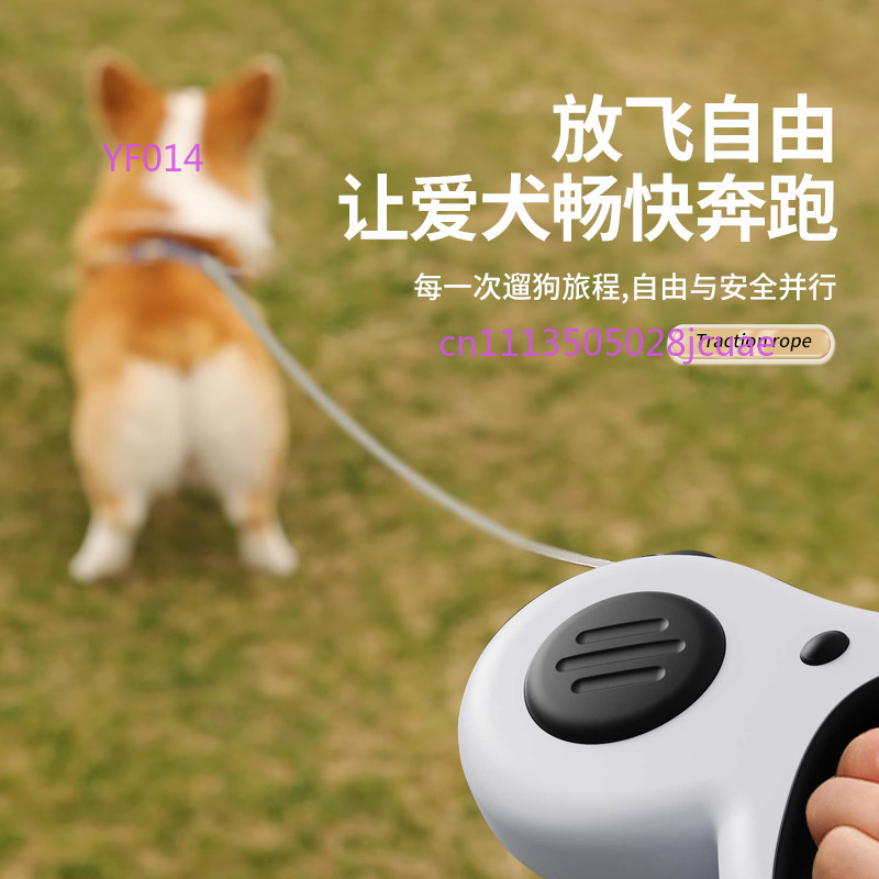 국경 간 자동 수납식 개 목줄 휴대용 야외 산책 애완견 - Retractable Dog Leash 리뷰 및 가격