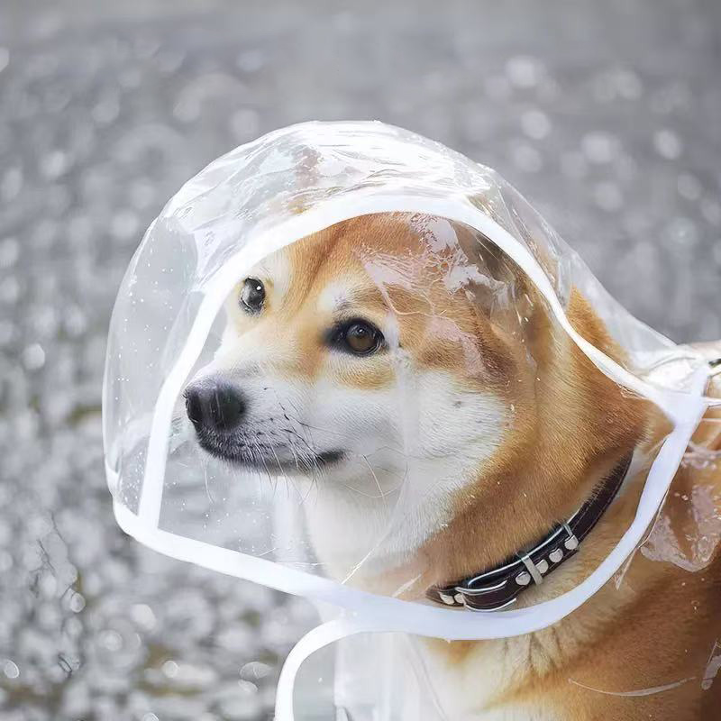 XS-8XL 애완 동물 비옷 투명한 개 비옷 방수 및  - Dog Raincoat 리뷰 및 가격